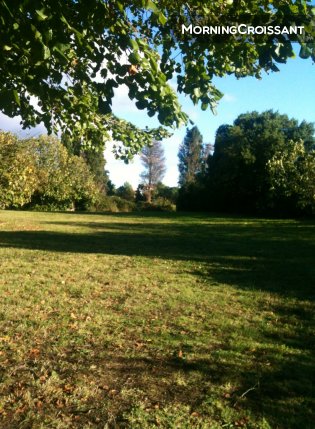 House near Carcassonne for up to 17