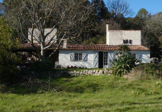 The Little Twin Tower