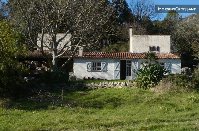 The Little Twin Tower