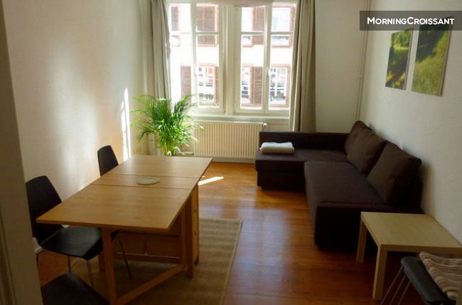 2BR apt, 63 m2 Strasbourg Centre