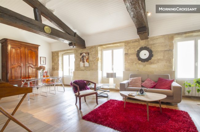 Spacious and atypical apartment