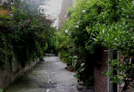 Christmas countryside Paris