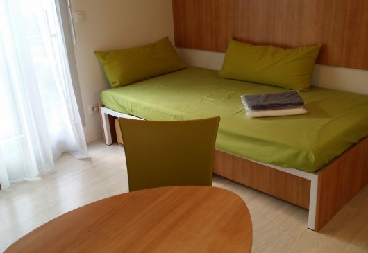 Lovely studio near Lyon