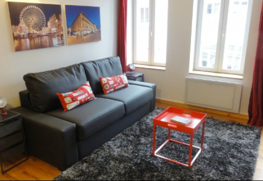 Location Vieux Lille