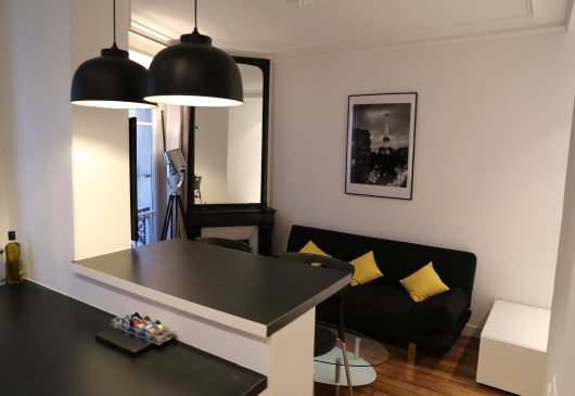 Beautiful parisian apt in Paris