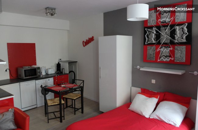 Appart.Espalungue1, Château de Pau