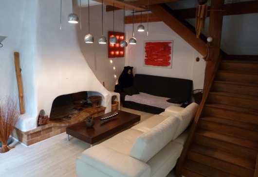 Big furnished apt Corbas Feyzin Vx