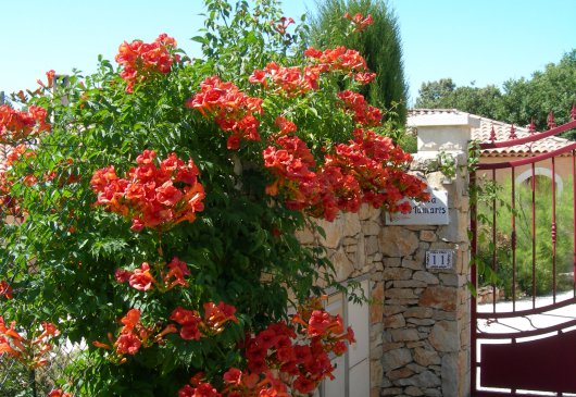 Private homestay room