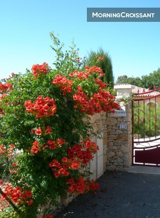 Private homestay room