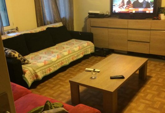 1BR apart near Buttes Chaumont