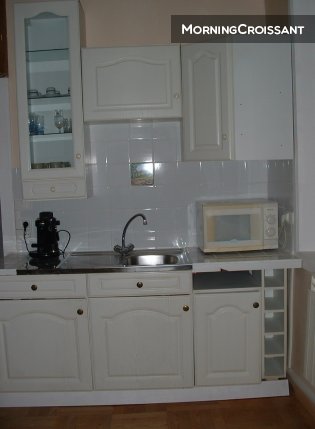 Appt. près de lyon à Neuville:Saône