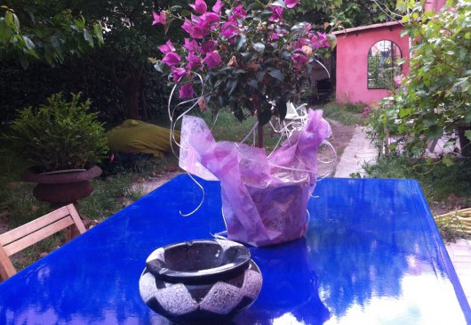 BnB near the Vieux Port and Panier