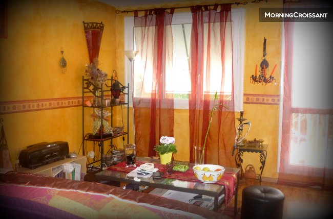 1 BR furnished apartment 