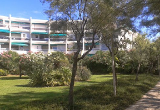 Studio cabin garden floor south