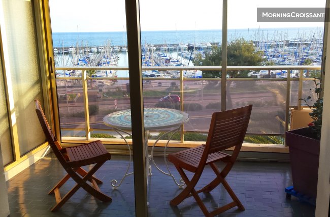 Superb studio beachfront