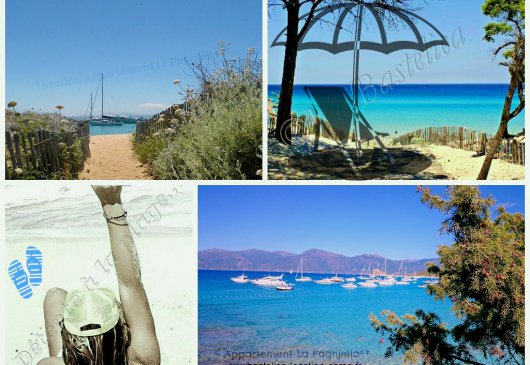 Apartment 2 * 'La Paghjella'