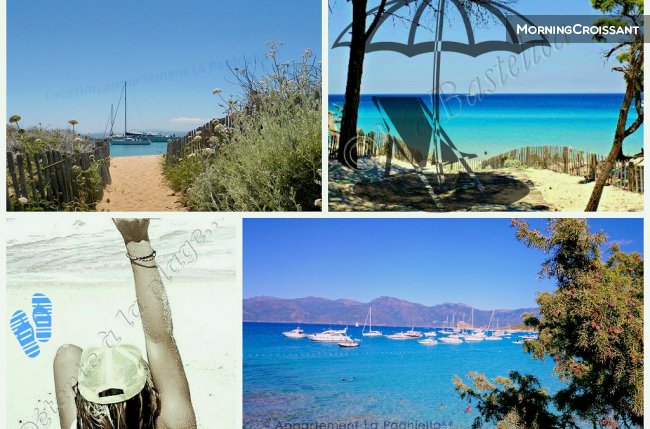 Apartment 2 * 'La Paghjella'