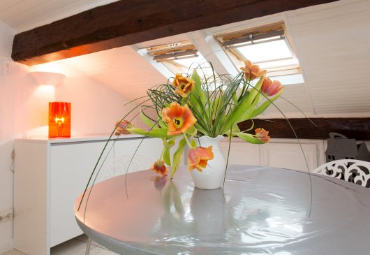 Mini T2 ideal congresses, holidays 