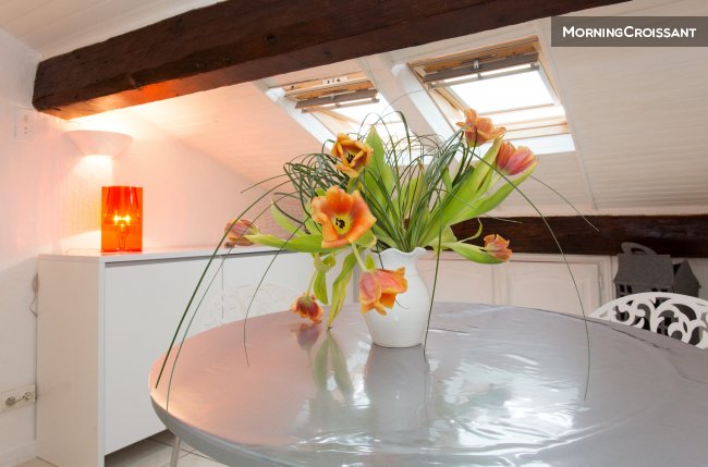 Mini T2 ideal congresses, holidays 