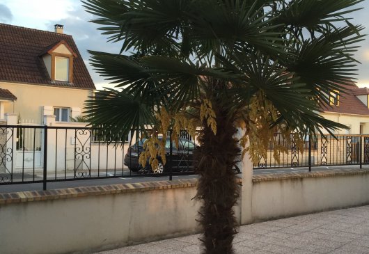 Pat & Co Studio near Disneyland