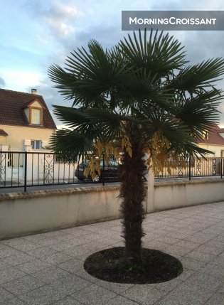 Pat & Co Studio near Disneyland