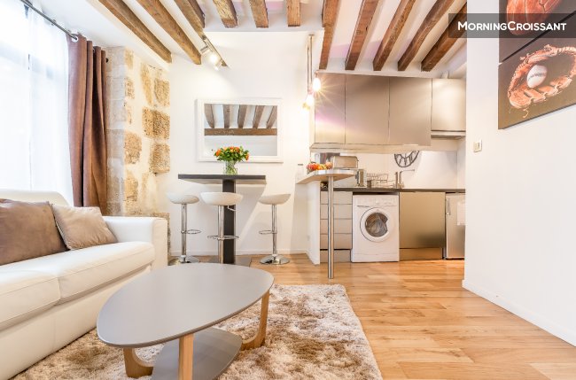 Charming flat in the heart of Paris