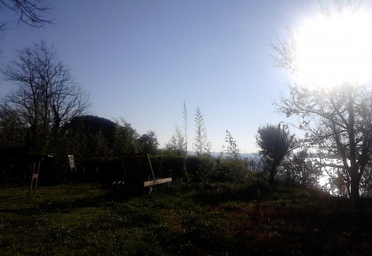 large room with view