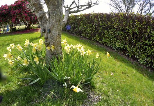 10km Brest quiet room with a view