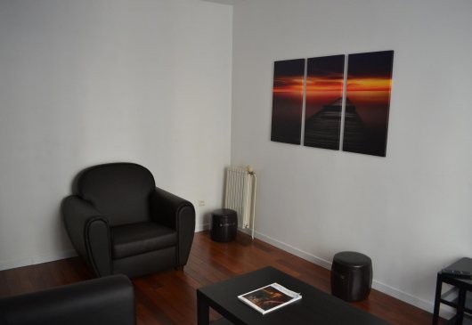 Modern Flat next to Effeil Tower