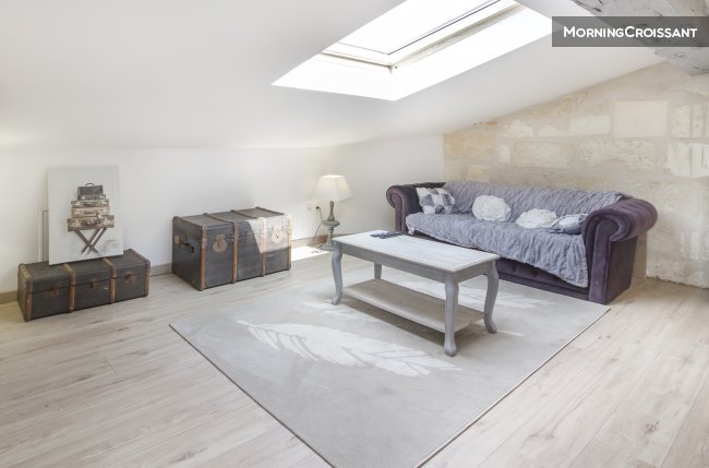 Nice rooftop flat city center