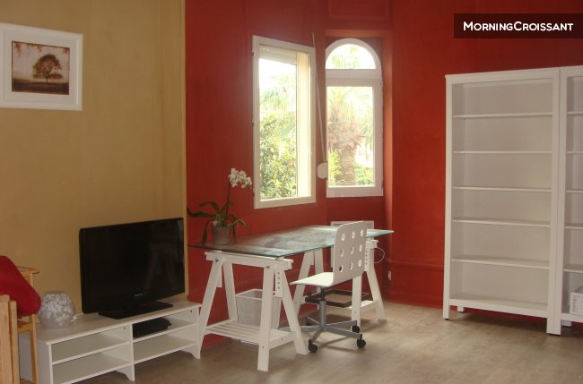 Fully equipped 1BR apt in villa