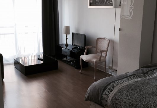 Very nice studio, view Eiffel Tower