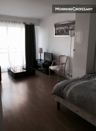 Very nice studio, view Eiffel Tower