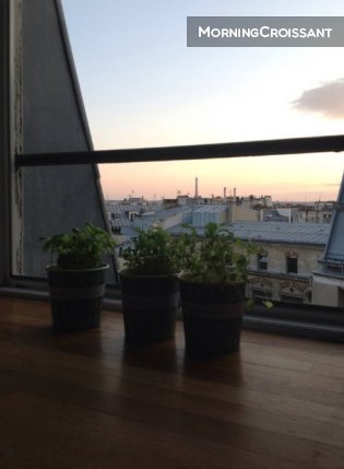 2 bdrm view on the Eiffel Tower ! 