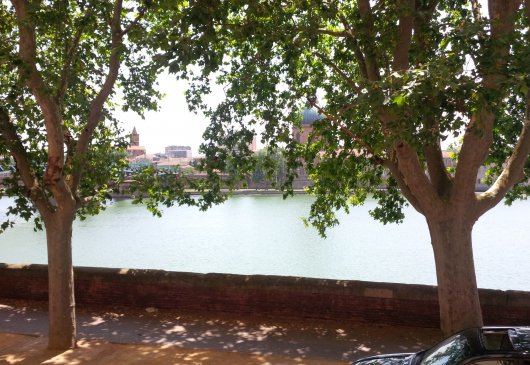 Glamour flat in center river view