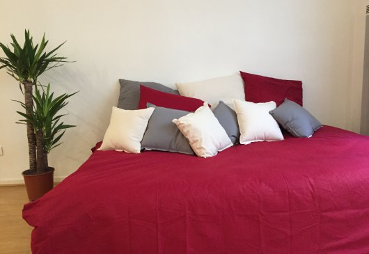 Apartment T1 - 4 min Matabiau