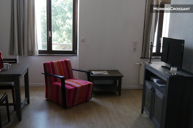 Wonderful 1BR Downtown