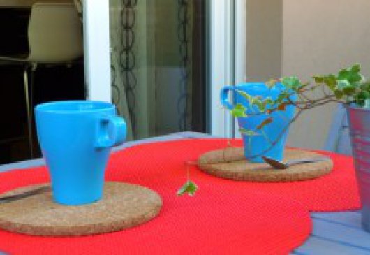 3 bedroom 60m^2 flat in Venissieux