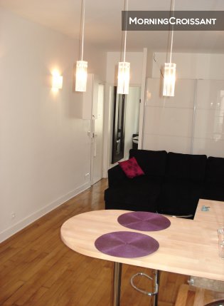 Very Parisian One Bedroom Flat