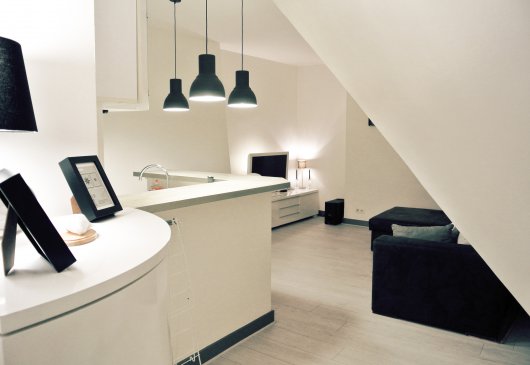 Paris,Champs Elysées,FLAT 1 bedroom