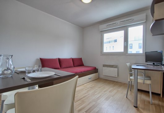 Fully furnished studio near Lille 1