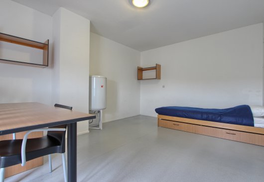 1BR apartment, Moulin district