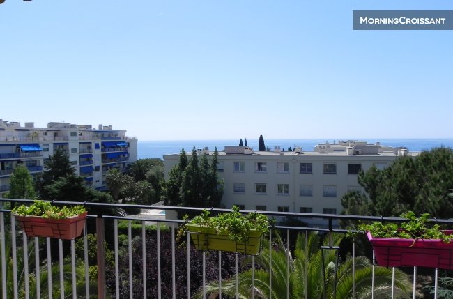 Spacious, bright apartment 