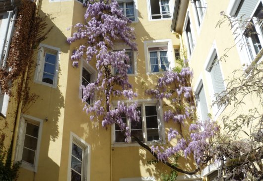 Apartment for 4 to 6 people