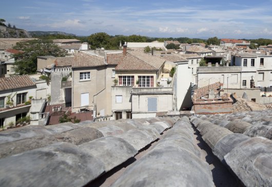 sharing room with landscaped corner