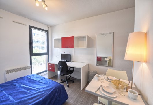 Studio fully furnished in Lyon 9