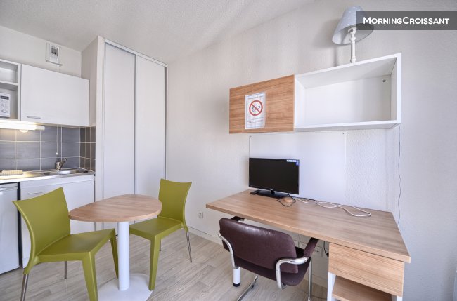 Furnished studio in Villeurbanne