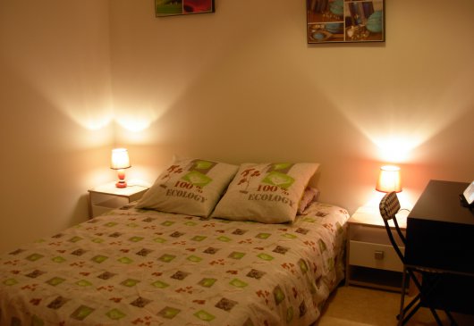 Furnished apartment in downtown